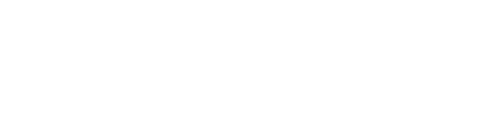 CodeFortify POS